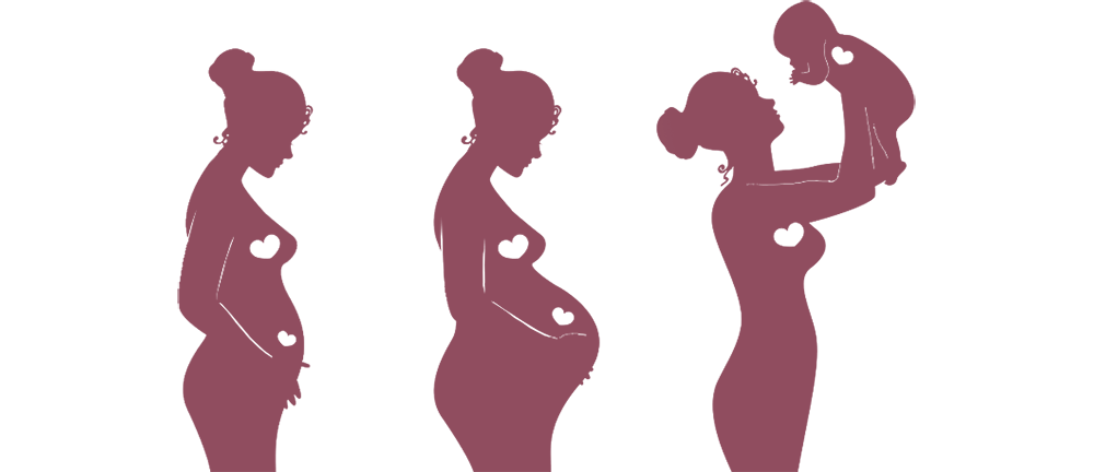 Etapy ciąży